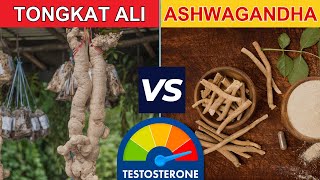 Tongkat Ali vs Ashwagandha for Testosterone Increase  Tongkat Ali and Ashwagandha Benefits amp Dosage [upl. by Juana]