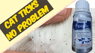 How to save cats from ticks and fleascat fleas solution Affordable solution catvideos [upl. by Aek857]