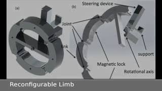 SelfReconfigurable Limbs Quadruped Robot [upl. by Novahs]