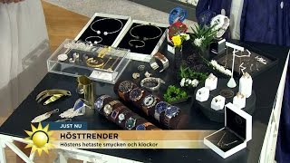 Höstens hetaste trender för klockor och smycken  Nyhetsmorgon TV4 [upl. by Ezra]