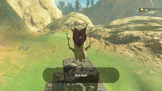 Korok seeds  Strock Lake  Tabantha Tower 15  Zelda BOTW [upl. by Yuht]