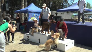 Parque La Puntilla es el epicentro de la Feria de Mascotas 2024 en San Vicente [upl. by Bernice168]