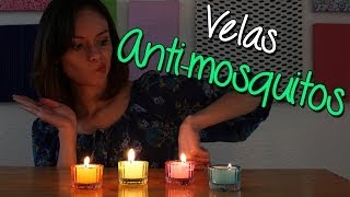 Como Hacer Velas Antimosquitos de Citronela  Caseras y Naturales  Catwalk [upl. by Almond472]