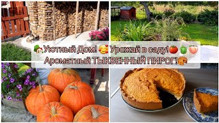 🏡Жизнь в деревнеТыквенный ПИРОГ😋👍🥮Собираем урожай Заготовки на зиму🌺рецепт выпечка [upl. by Maribelle447]