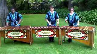 Scatterlings for Africa  African marimba version [upl. by Fran]