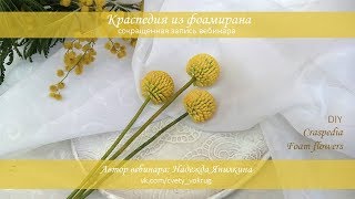 Краспедия из фоамирана мастеркласс  Craspedia  foam flowers  DIY [upl. by Dragoon]