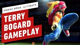 10 Minutes of Terry Bogard Online Gameplay in Super Smash Bros Ultimate [upl. by Aneekas]