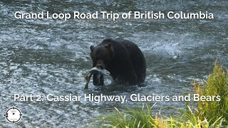 Bears Glaciers and the Cassiar Highway Grand Loop of British Columbia Part 2 [upl. by Persons]