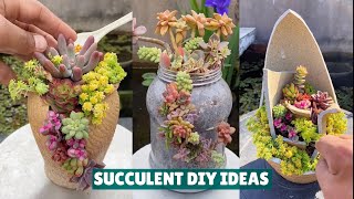 Succulent DIY Ideas from Recycling  Succulent Garden 肉植物 다육이들 Suculentas [upl. by Sivia856]