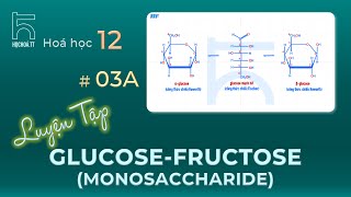 Luyện tập về Glucose amp Fructose Monosaccharides [upl. by Eifos799]