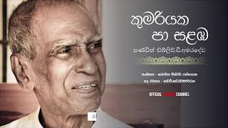 කුමරියක පා සළඔ සැලුනා Kumariyaka Pa Salamba  W D Amaradewa [upl. by Mathian]