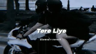 Tere liyeslowedampreverbsong [upl. by Esiole]