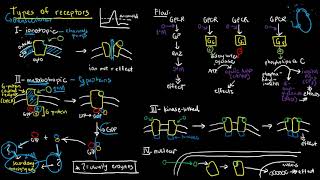 PHARMACOLOGY 6  Types of Receptors [upl. by Leirad]