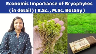 Economic Importance of Bryophytes  BSc1st year MSc Sem  1Ecological importance of bryophytes [upl. by Magnum]