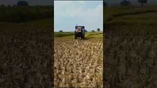 Swaraj 855 fe 4wd tractor stunt video tractorvideo tractor swaraj 4x4 viralshorts shorts [upl. by Nomis67]