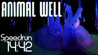 Animal Well NMG Speedrun  144218 [upl. by Anail]