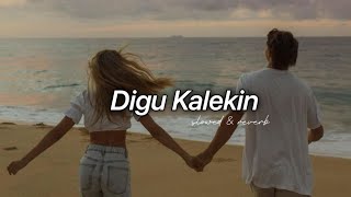 Digu kalekin Mandaram Kathawe Theme Song Slowed  Reverb [upl. by Nagle497]