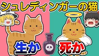 【ゆっくり解説】わかりやすいシュレディンガーの猫（多世界解釈とコペンハーゲン解釈） [upl. by Airdnoed298]