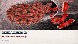 HEPATITIS B SEROLOGY [upl. by Radie]