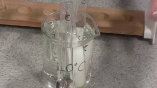 Enzyme Rate of Reaction Trypsin [upl. by Weidar]