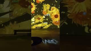 Sunflowers at Van Gogh Immersive [upl. by Araec596]