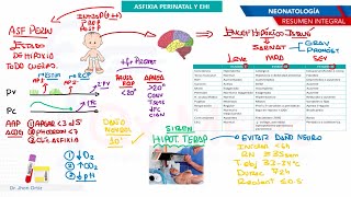 RESUMEN INTEGRAL  NEONATOLOGÍA [upl. by Heidie706]