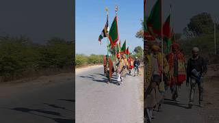 Ajmer Urs 2024 Chadiyo Ka Mela Kaliyar To Ajmer Paidal Yatra Gagwana Ajmer Sharif dargah urs [upl. by Sim]