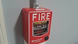 Notifier Fire Alarm System Test 28 [upl. by Enialahs]