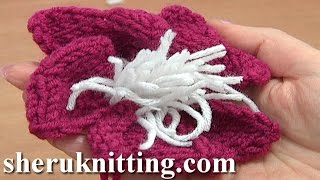 Knitted Flower With Stamens Tutorial 9 Knitting Flowers [upl. by Yspyg]