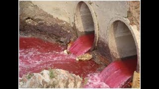 Decolourization and Degradation of Dyes in Industrial Effluents by Native Endophytic Fungi [upl. by Dadirac]