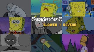 මතක අවුස්සන මනෝපාරකට  Slowed and Reverb Songs  manoparakata sindu playlist 7 [upl. by Calderon]