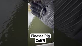 Ist schon JETZT Finesse Rig Zeit  Barschangeln in Berlin  barsch angeln finesse [upl. by Norma818]