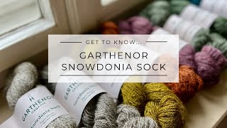 Get To Know Garthenor Snowdonia Sock [upl. by Anaujat]