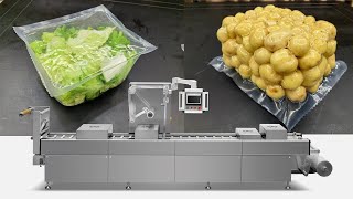 potato Thermoforming packing machine line for vegetables in vacuum potato packingmachine vacuum [upl. by Nino]