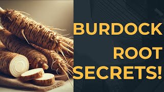 Shocking Benefits of BURDOCK ROOT [upl. by Aeli]