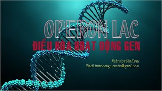 OPERON LAC  ĐIỀU HÒA HOẠT ĐỘNG GEN  SINH HỌC 12 [upl. by Kobe]