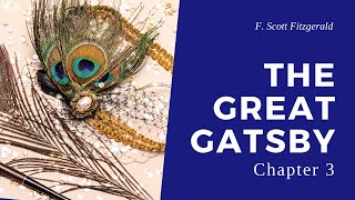 Great Gatsby  Chapter 3 Audiobook [upl. by Cherri]