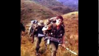 25th Infantry Division Search And Destroy Vietnam War [upl. by Gnoix741]