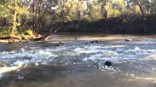 The Pound Bend Tunnel Evelyn Tunnel Warrandyte Victoria [upl. by Ahsiyn657]