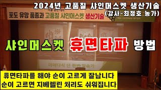 2024년 샤인머스켓 재배기술  휴면타파 방법 [upl. by Arammahs]