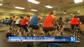 Health News 18 Exercise May Help with Fat Storage [upl. by Bradwell402]