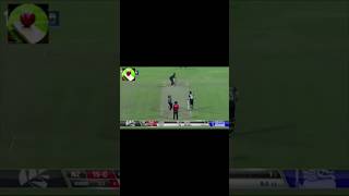 Malinga 4 ball 4 Wicket😱viralvideo cricket [upl. by Leal350]