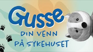 Gusse – Din venn på sykehuset [upl. by Ajidahk]