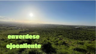 “ENVERDECE” OJOCALIENTEZACATECAS GRACIAS alas LLUVIAS ☘️🌿🌳  coique vlogs [upl. by Leander]