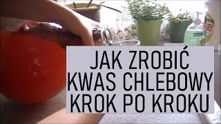 Jak zrobić kwas chlebowy krok po kroku [upl. by Auqinu]