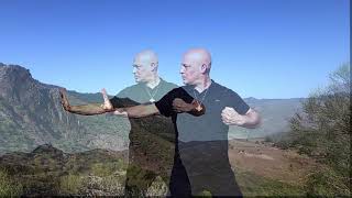 Health Qigong 8 Brocades Qigong Practice 8Brocades qigong medicalQigong [upl. by Garris]