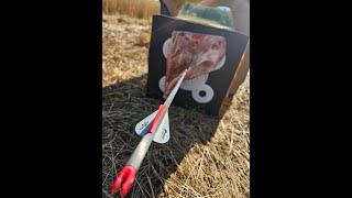 REK Broadhead Review [upl. by Aisitel]