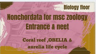 Coral reef life cycle of obelia life cycle of Aurelia for msc zoology entrance [upl. by Repip]