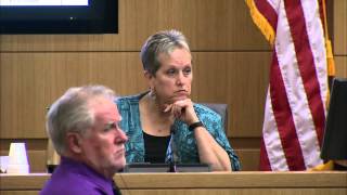 Jodi Arias Murder Trial  Day 42  Part 2  Juan Martinez cross of Alyce LaViolette [upl. by Anirak]