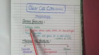 Renal Cell Carcinoma  Pathology [upl. by Akiemat995]